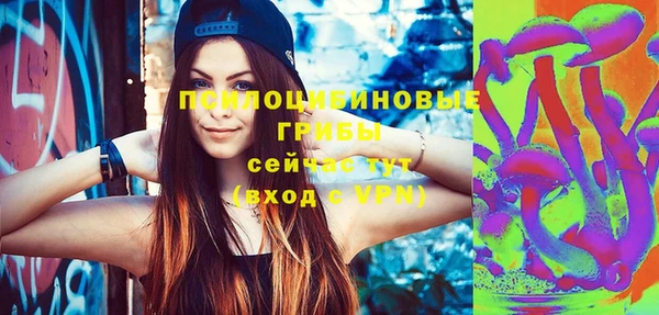 твердый Верхний Тагил